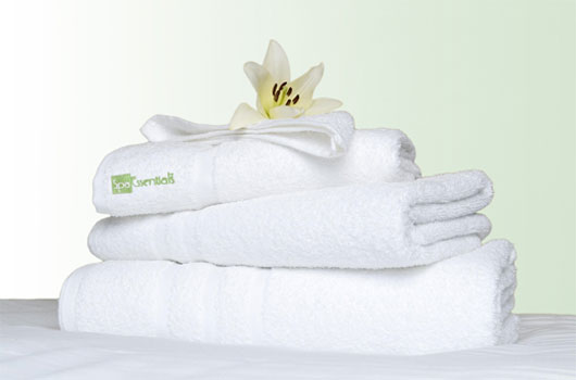 spa essentials branded towels